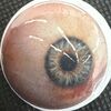 eyelev3l